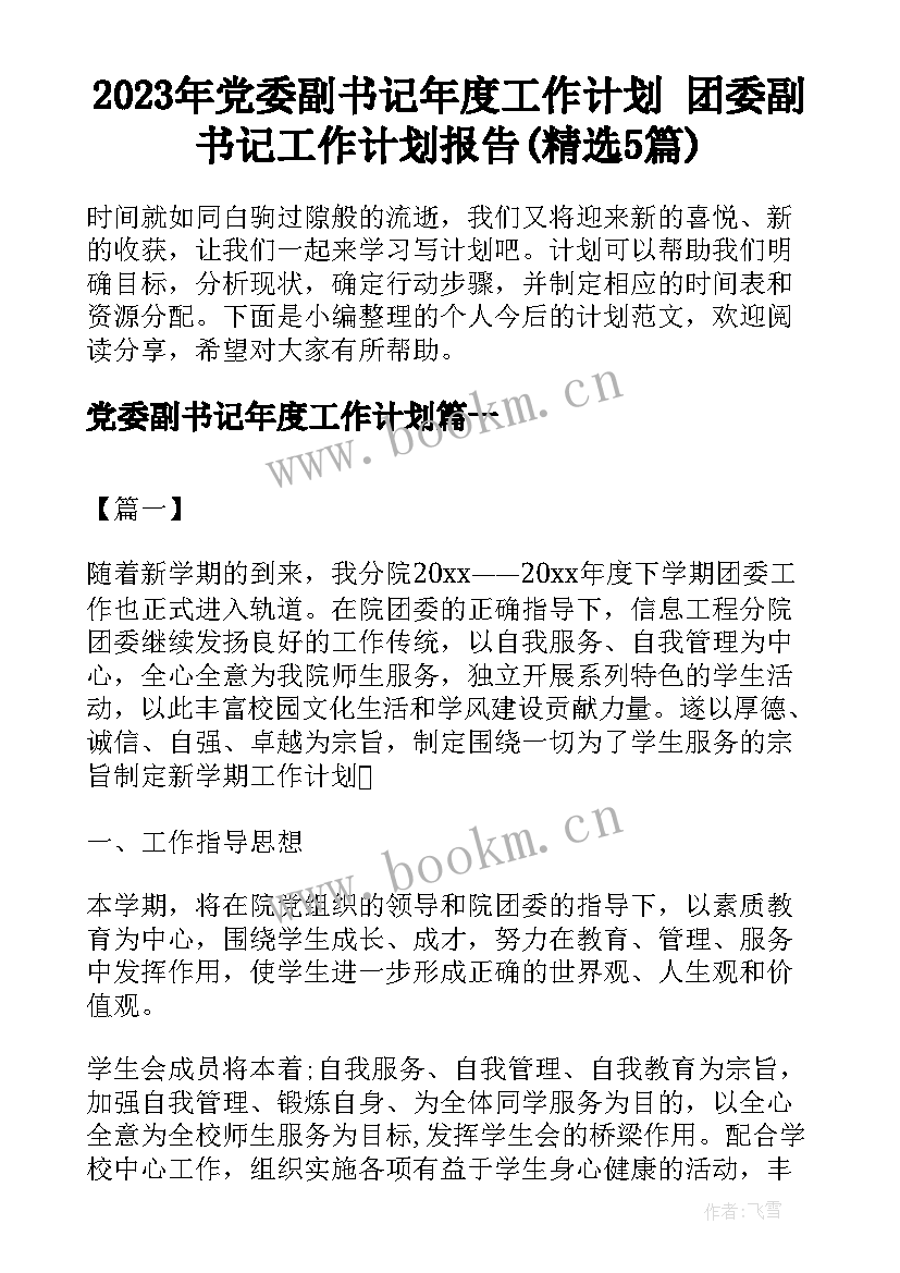 2023年党委副书记年度工作计划 团委副书记工作计划报告(精选5篇)