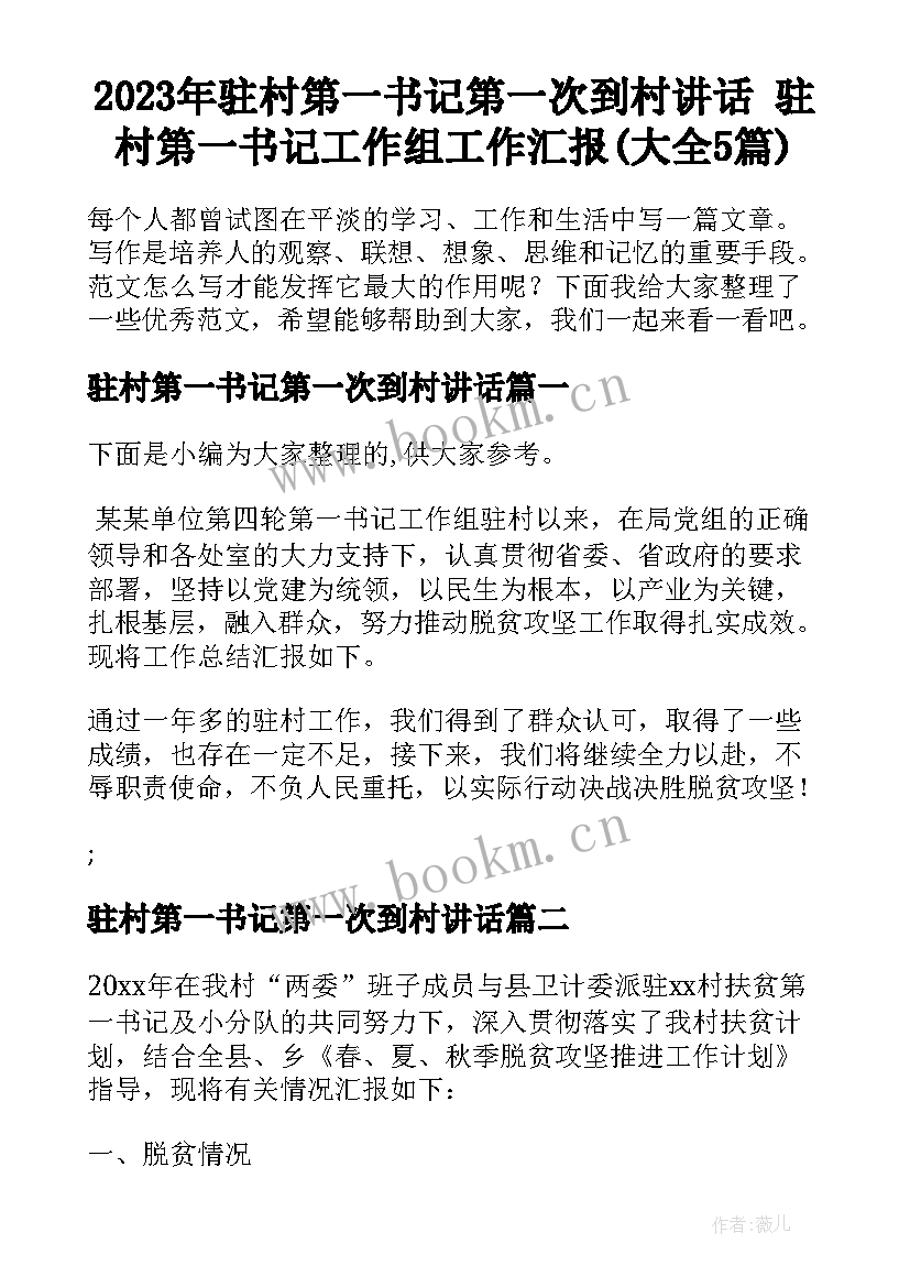 2023年驻村第一书记第一次到村讲话 驻村第一书记工作组工作汇报(大全5篇)