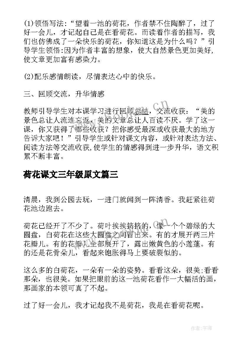 荷花课文三年级原文 三年级语文课文荷花教学反思(模板5篇)