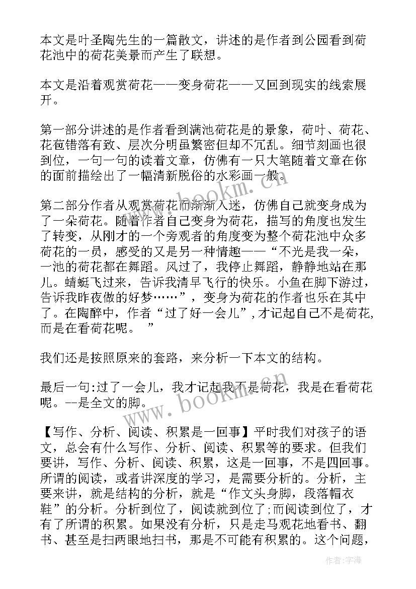 荷花课文三年级原文 三年级语文课文荷花教学反思(模板5篇)