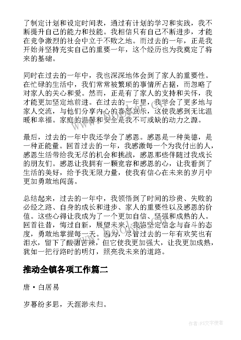 最新推动全镇各项工作 过去的一年心得体会(优质8篇)