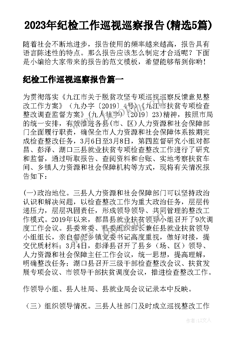 2023年纪检工作巡视巡察报告(精选5篇)