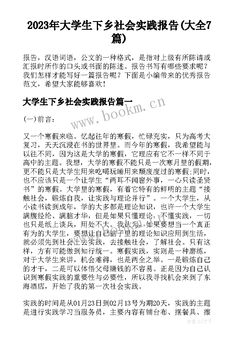 2023年大学生下乡社会实践报告(大全7篇)