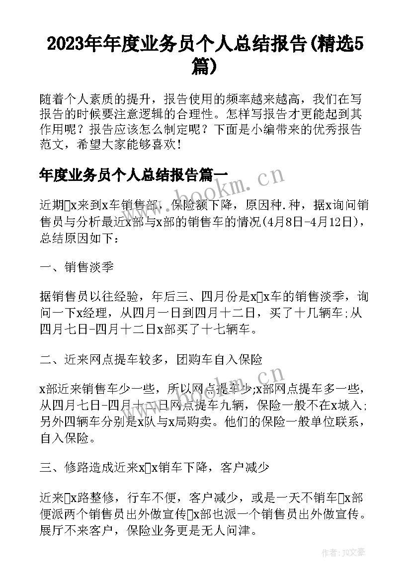 2023年年度业务员个人总结报告(精选5篇)