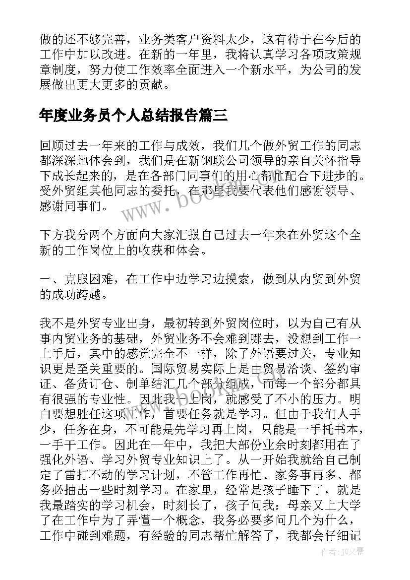 2023年年度业务员个人总结报告(精选5篇)