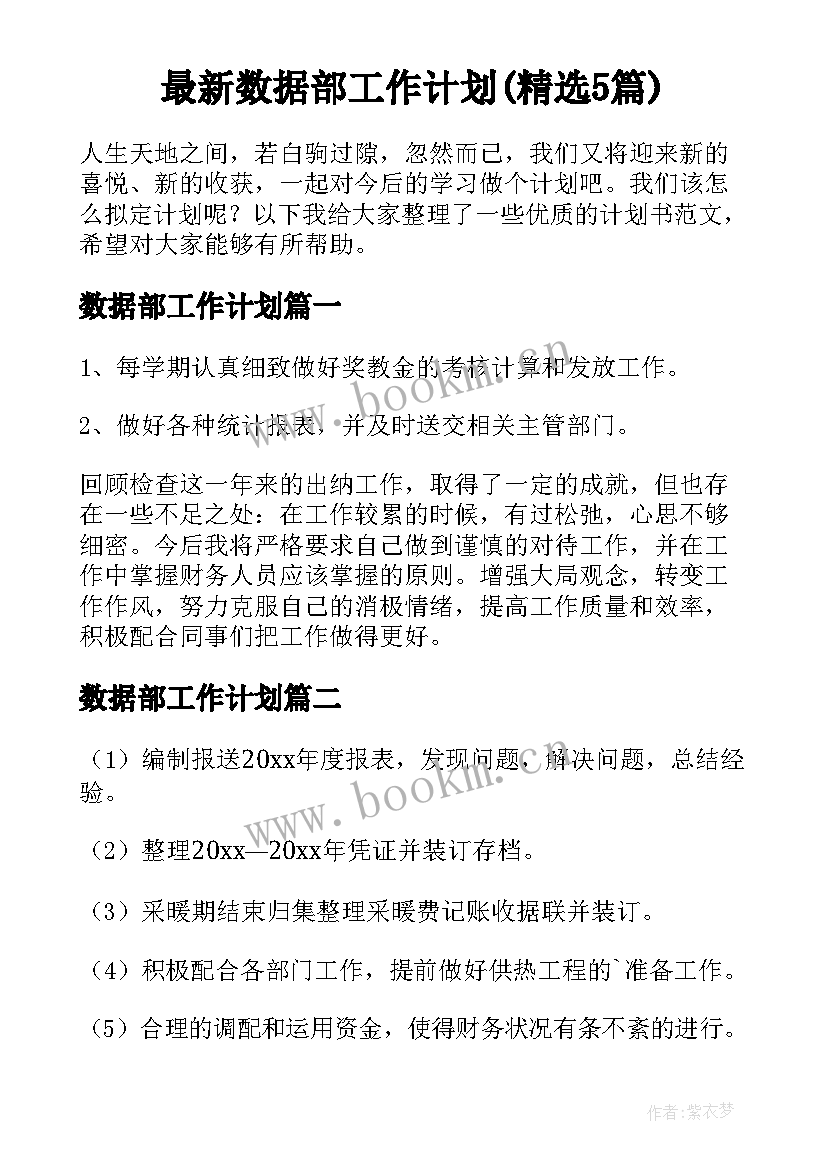 最新数据部工作计划(精选5篇)