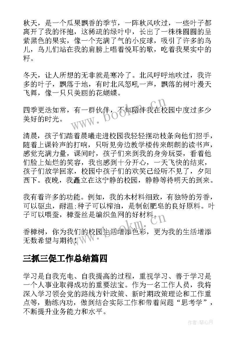 2023年三抓三促工作总结 三抓三促个人心得体会(汇总5篇)