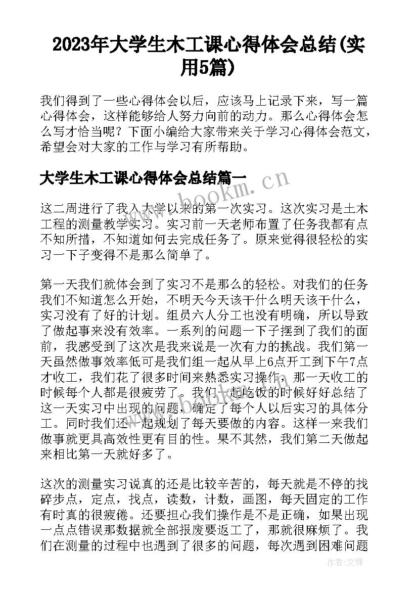 2023年大学生木工课心得体会总结(实用5篇)