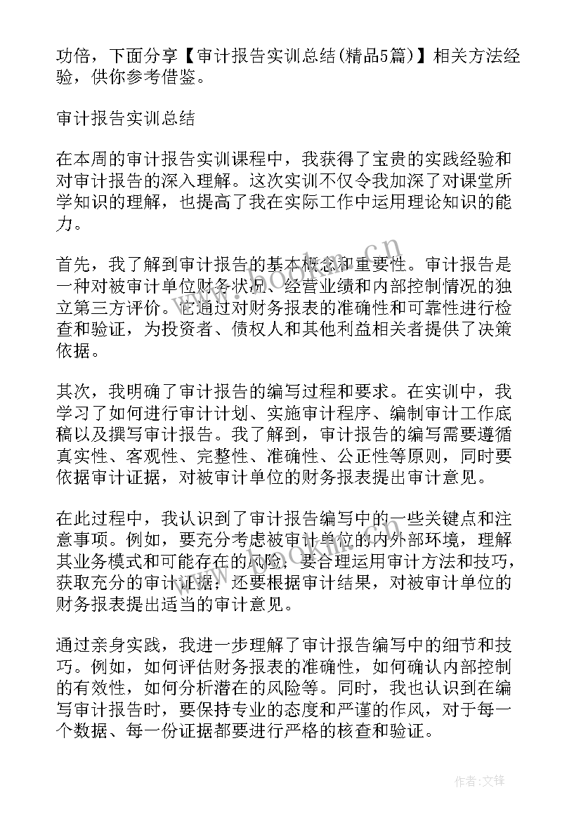 2023年货币资金审计实训报告总结 审计实训报告总结(大全10篇)