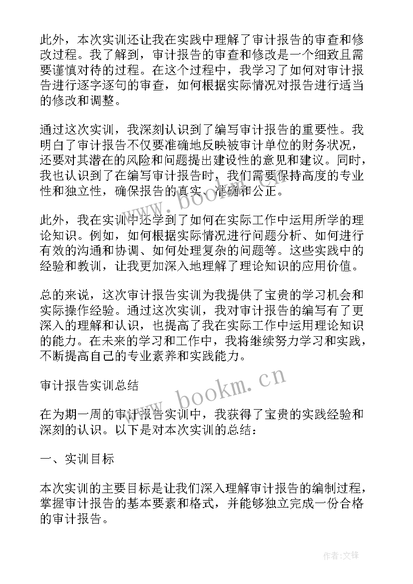 2023年货币资金审计实训报告总结 审计实训报告总结(大全10篇)