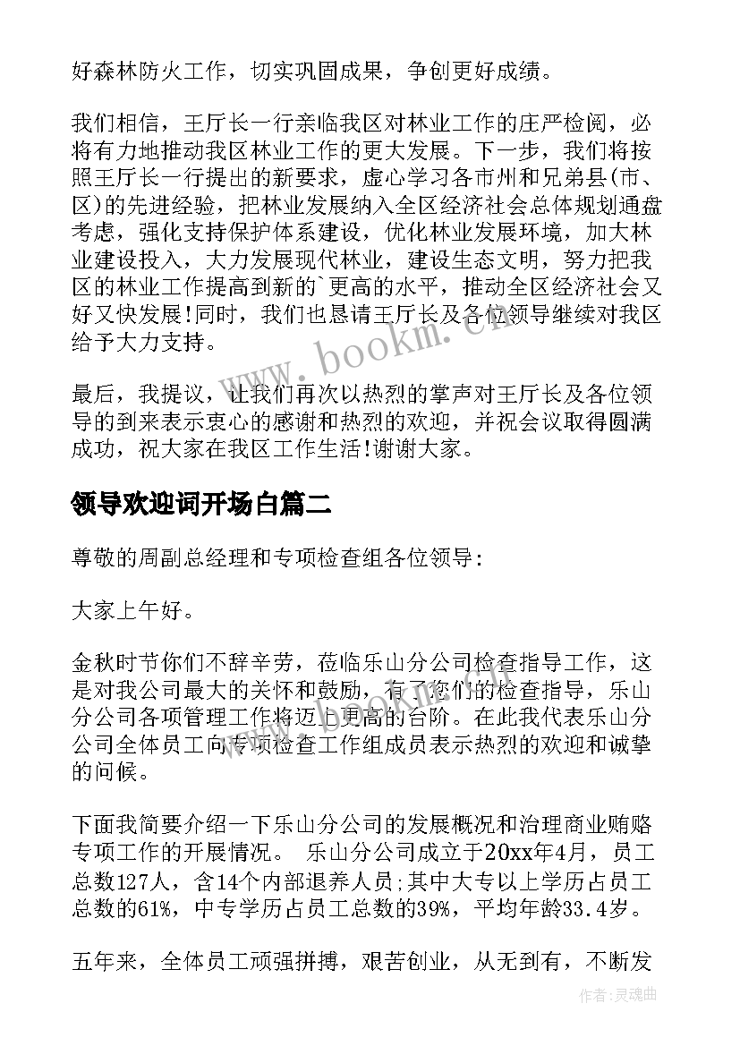 最新领导欢迎词开场白 欢迎上级领导检查致辞(模板8篇)