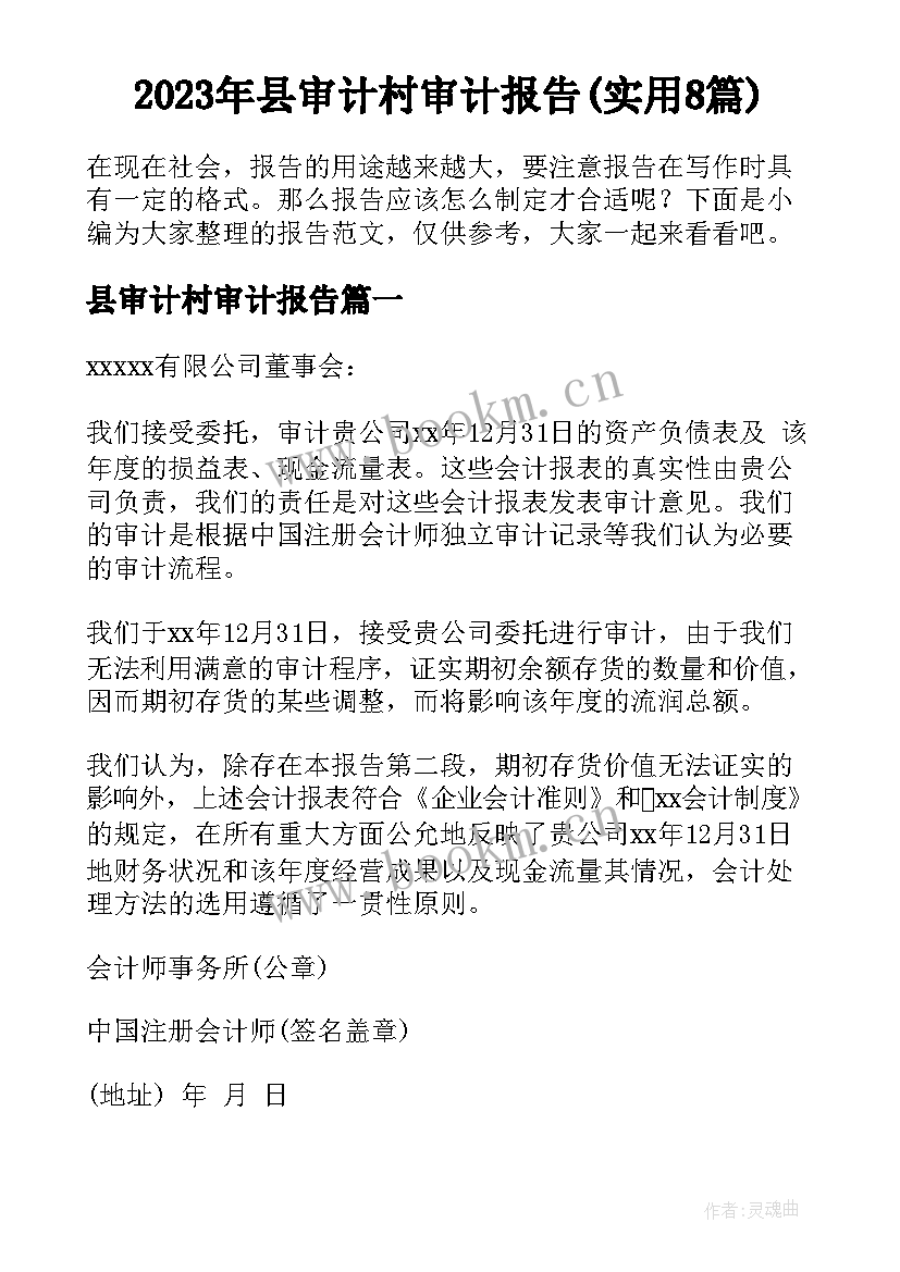 2023年县审计村审计报告(实用8篇)