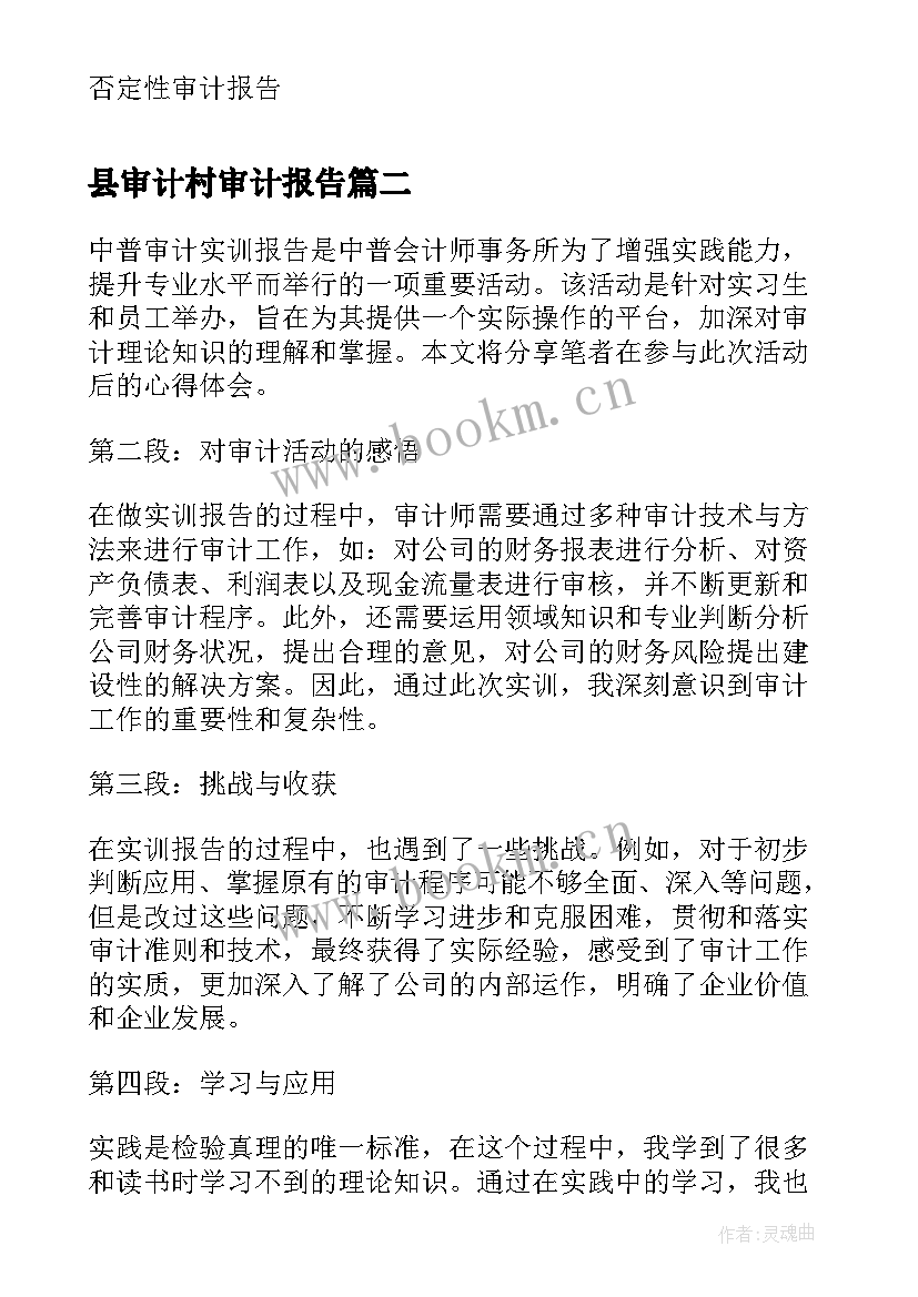 2023年县审计村审计报告(实用8篇)