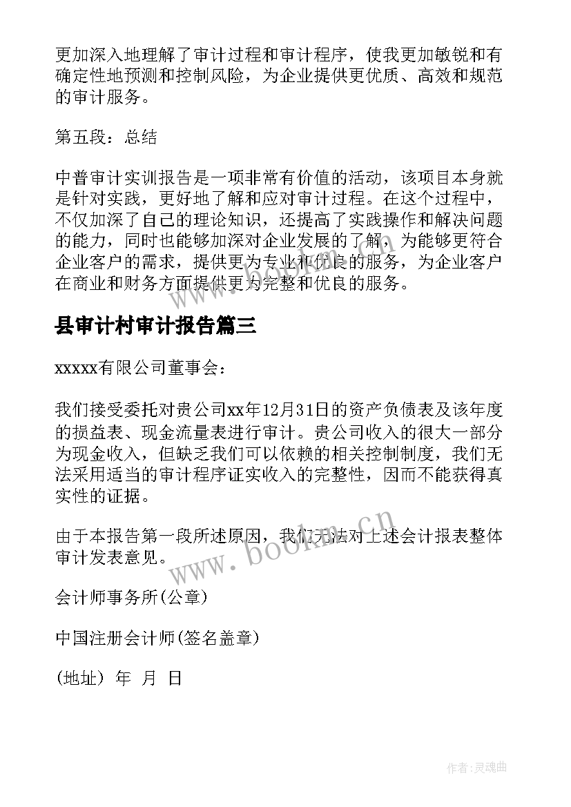 2023年县审计村审计报告(实用8篇)