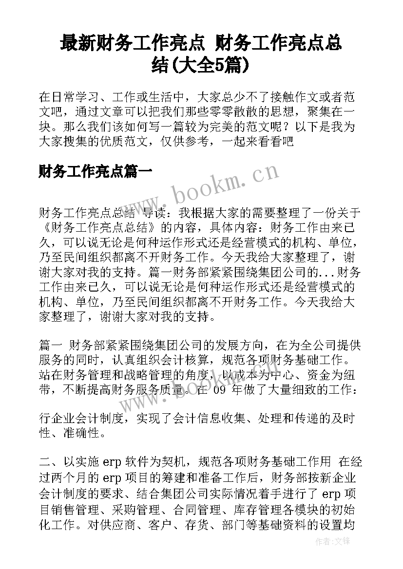 最新财务工作亮点 财务工作亮点总结(大全5篇)