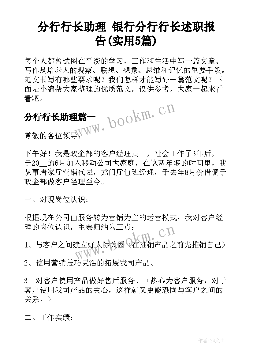 分行行长助理 银行分行行长述职报告(实用5篇)