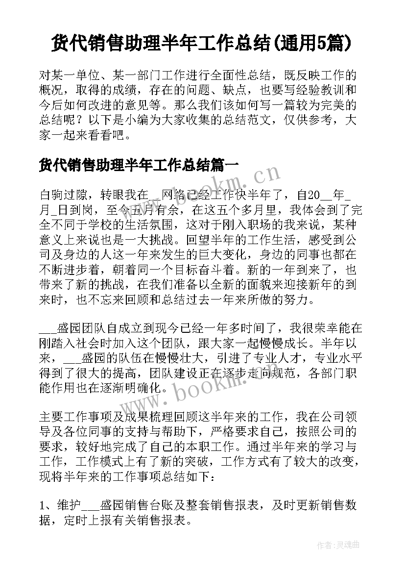 货代销售助理半年工作总结(通用5篇)