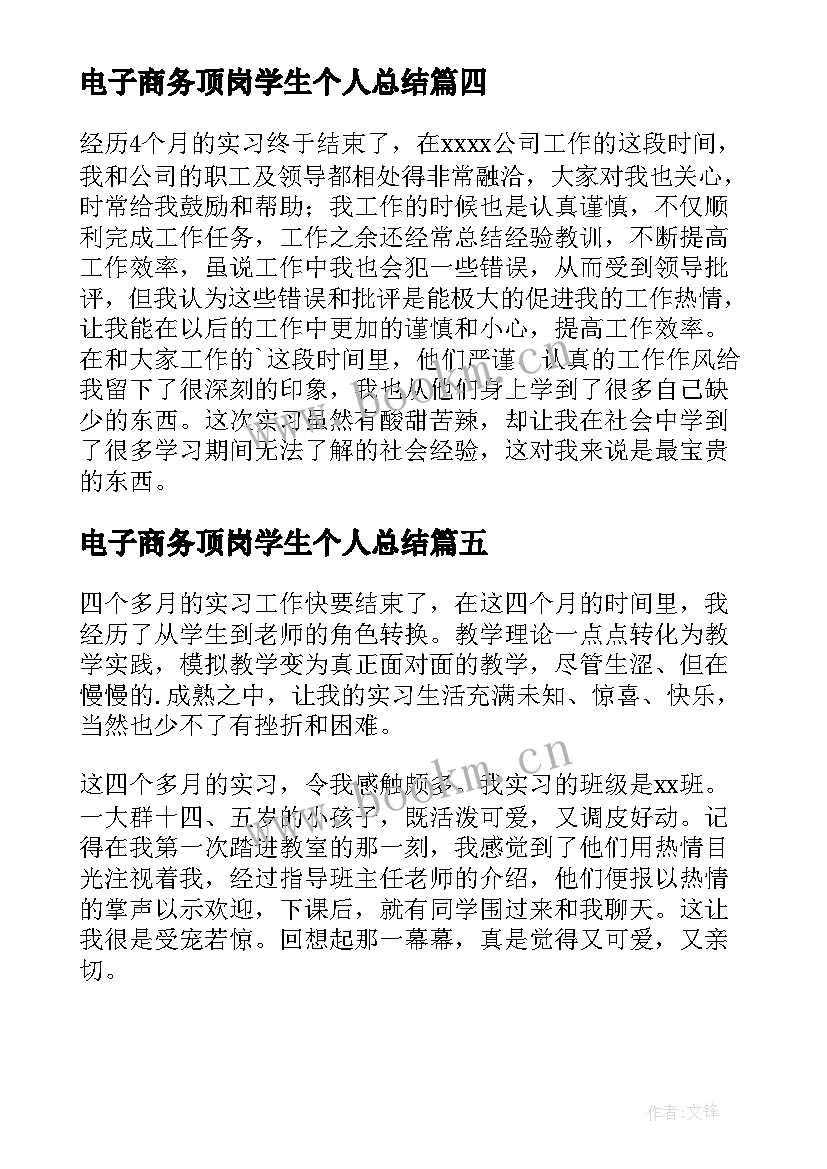 电子商务顶岗学生个人总结(优秀9篇)