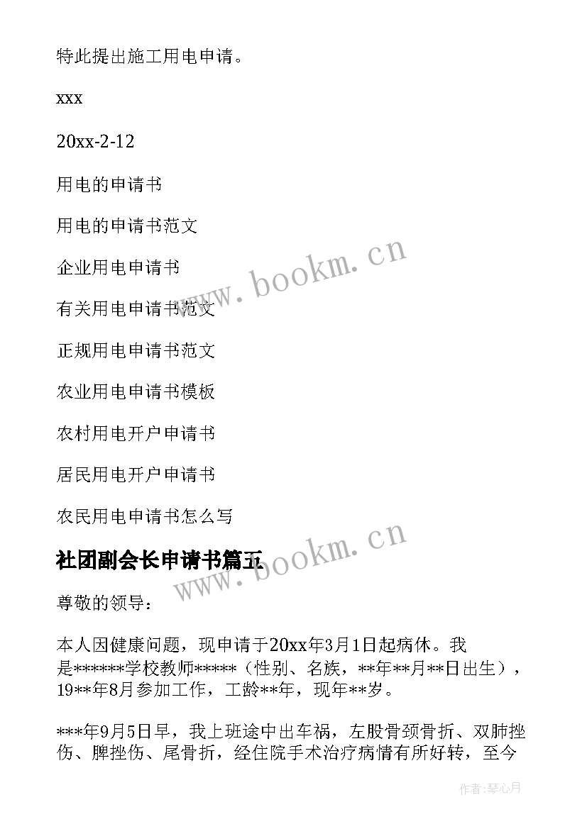 最新社团副会长申请书(通用10篇)