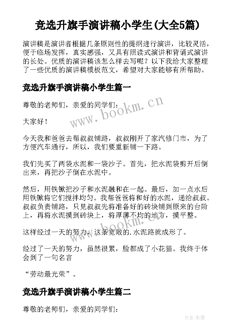 竞选升旗手演讲稿小学生(大全5篇)