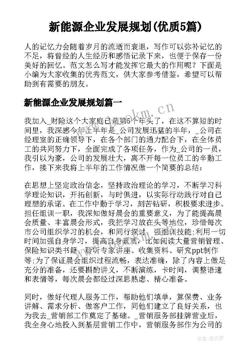 新能源企业发展规划(优质5篇)