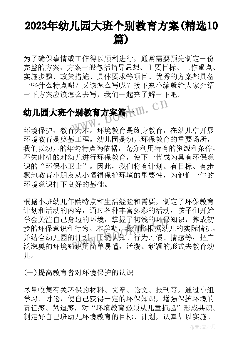 2023年幼儿园大班个别教育方案(精选10篇)