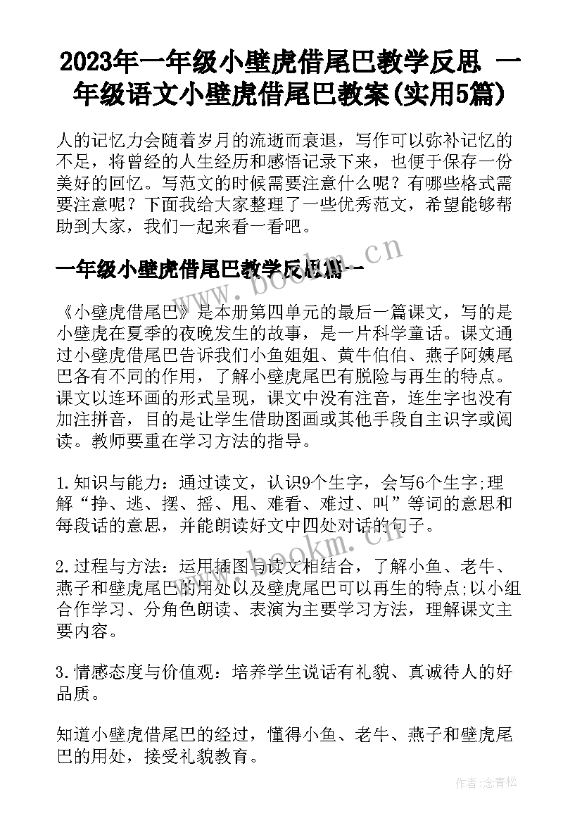 2023年一年级小壁虎借尾巴教学反思 一年级语文小壁虎借尾巴教案(实用5篇)