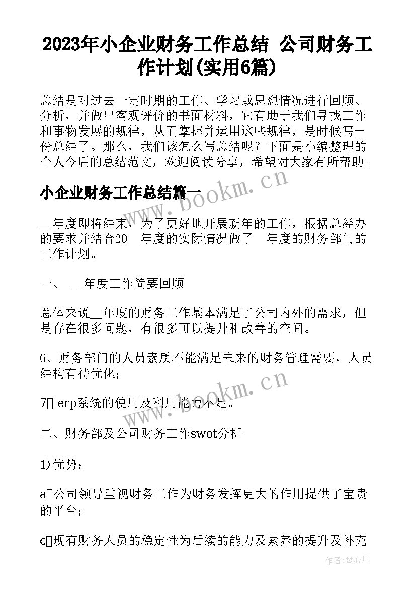 2023年小企业财务工作总结 公司财务工作计划(实用6篇)