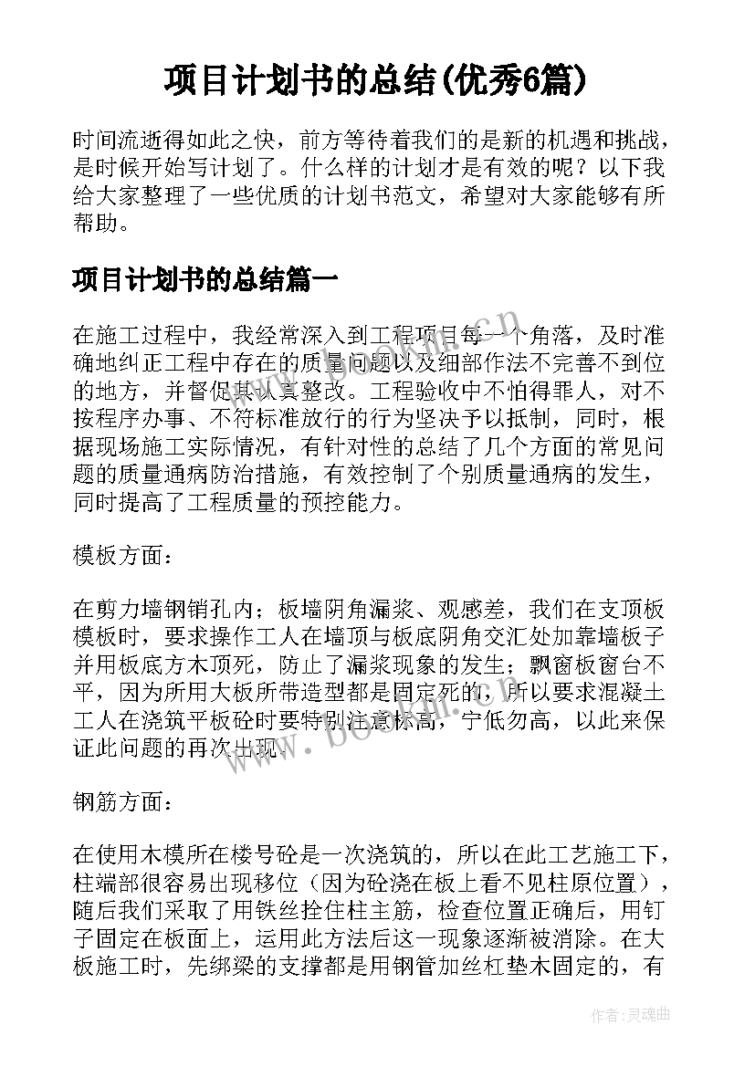 项目计划书的总结(优秀6篇)