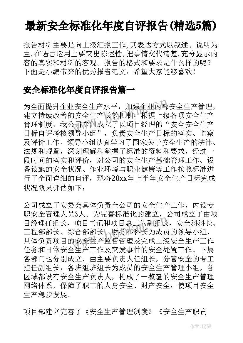 最新安全标准化年度自评报告(精选5篇)