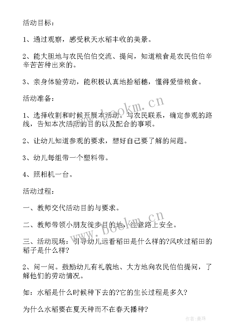 2023年幼儿园大班区域活动计划(汇总5篇)