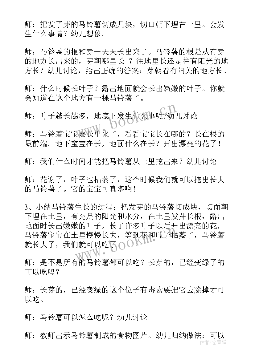 2023年大班科学转呀转教案(大全6篇)