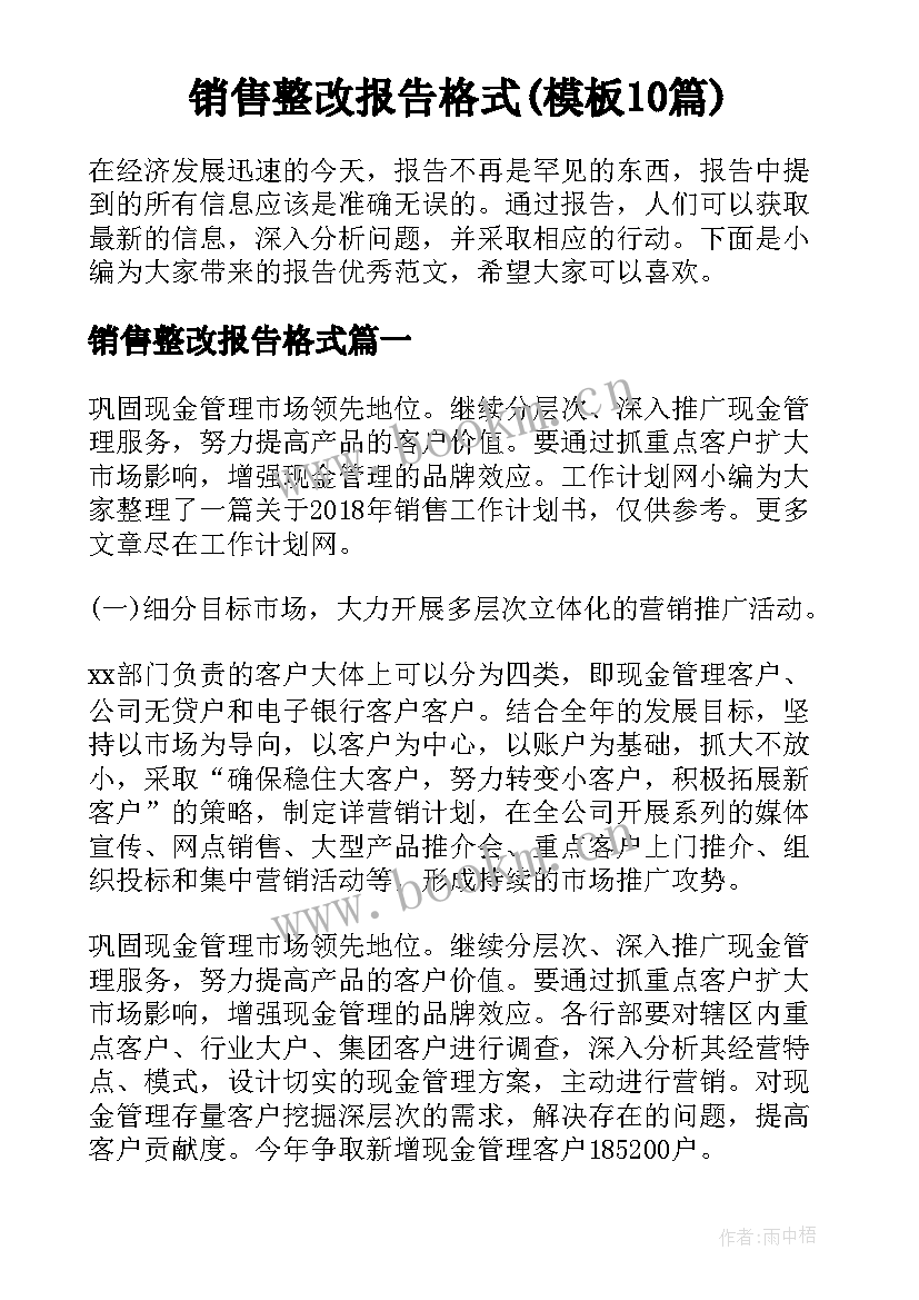 销售整改报告格式(模板10篇)