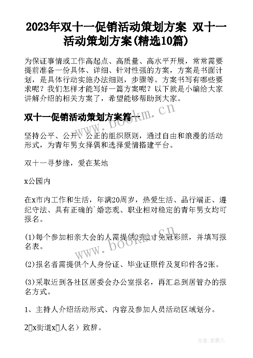 2023年双十一促销活动策划方案 双十一活动策划方案(精选10篇)