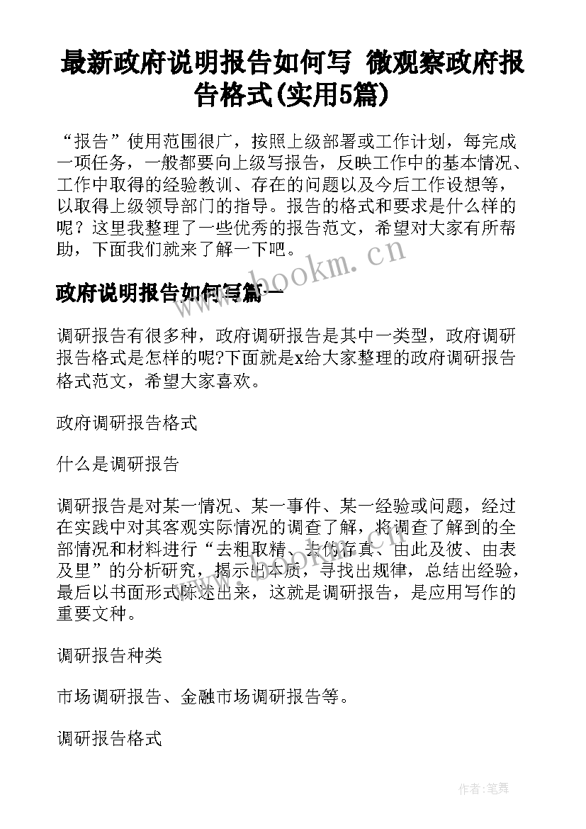 最新政府说明报告如何写 微观察政府报告格式(实用5篇)