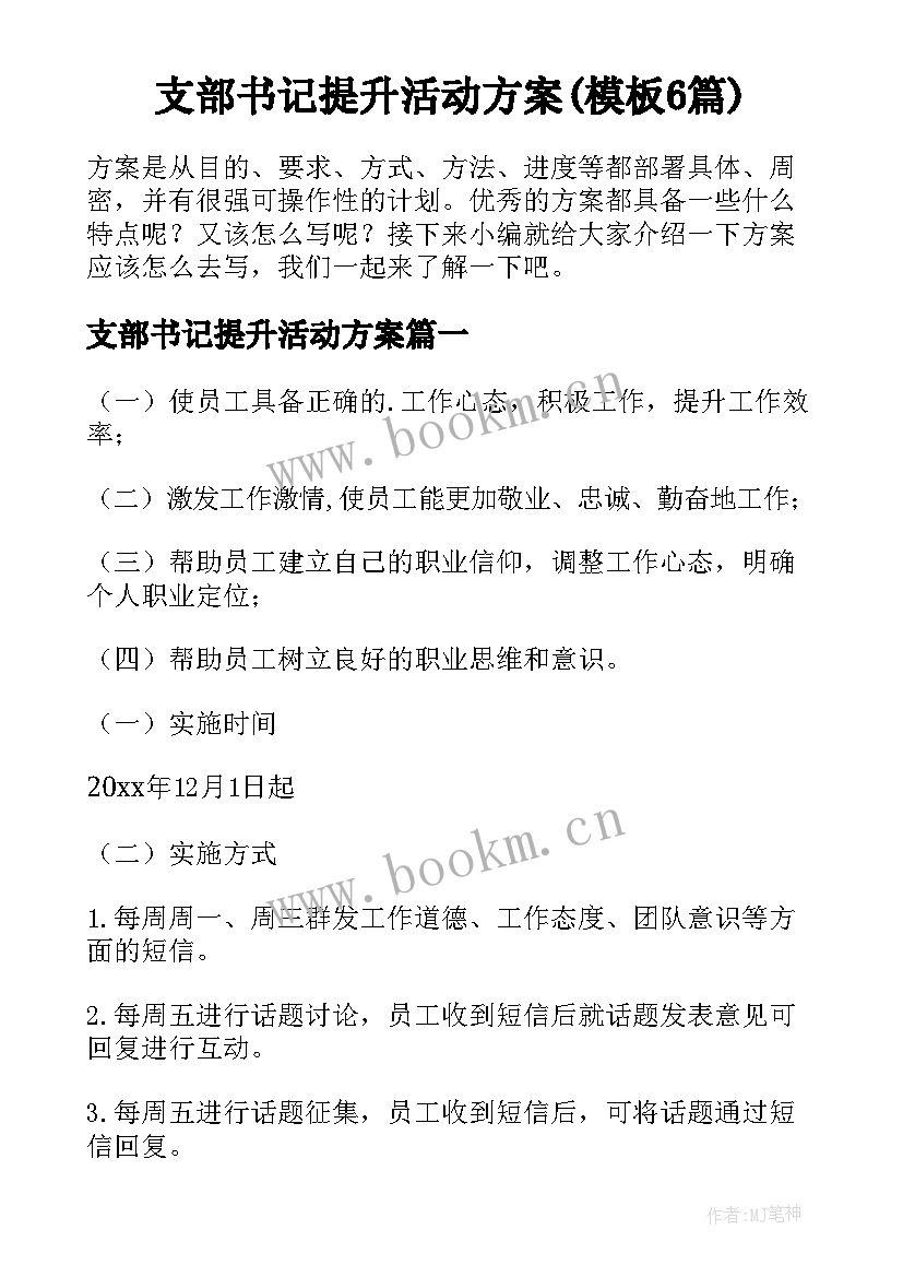 支部书记提升活动方案(模板6篇)