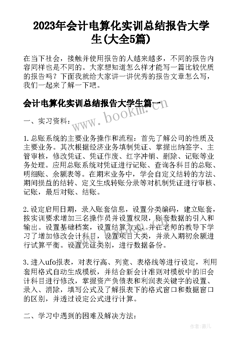 2023年会计电算化实训总结报告大学生(大全5篇)