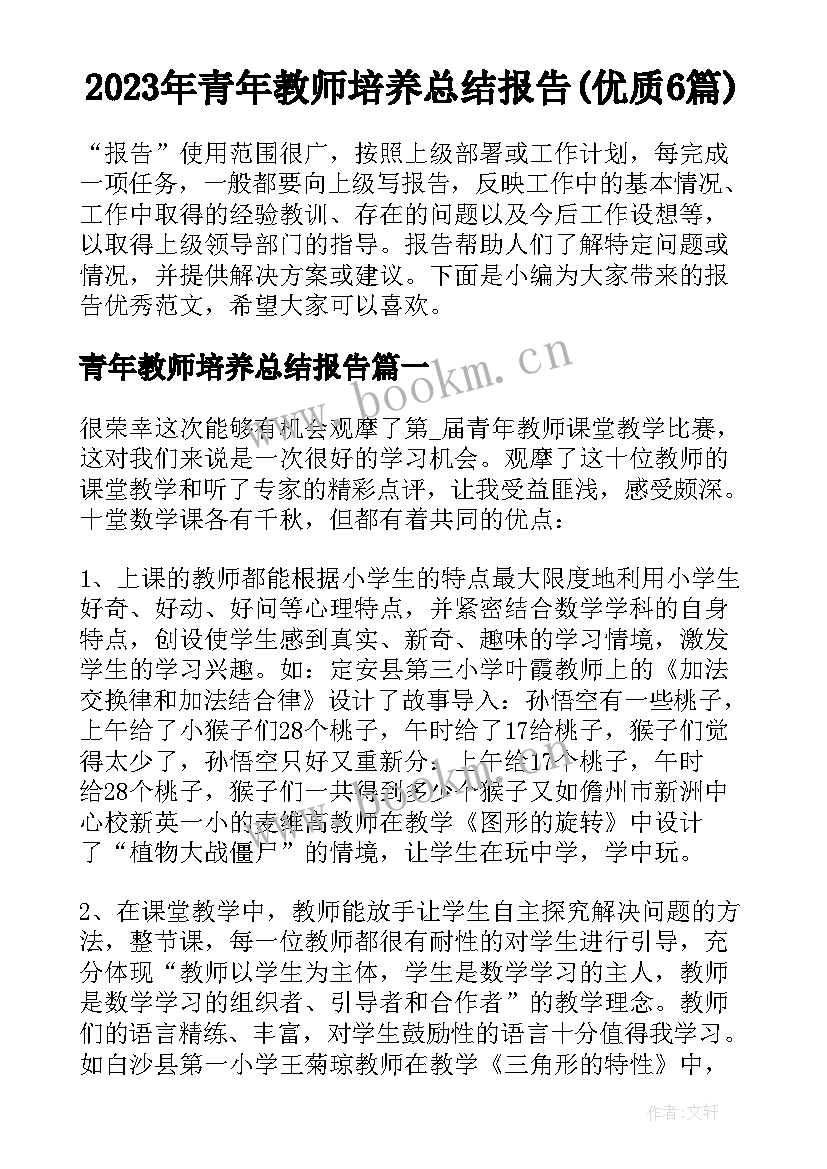 2023年青年教师培养总结报告(优质6篇)