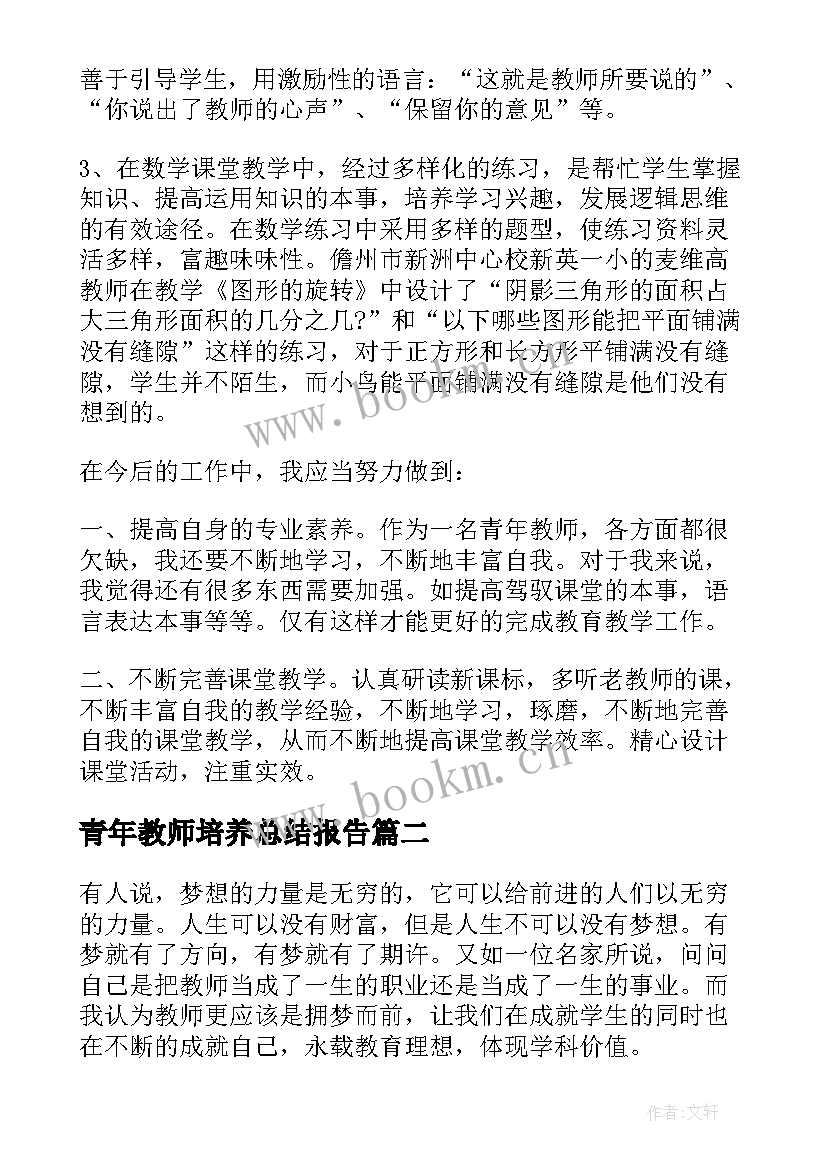 2023年青年教师培养总结报告(优质6篇)