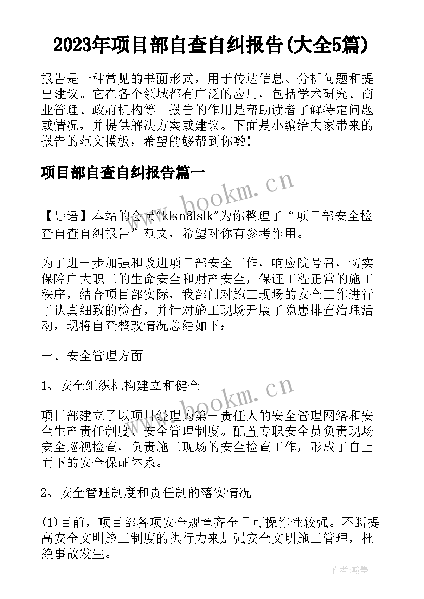 2023年项目部自查自纠报告(大全5篇)