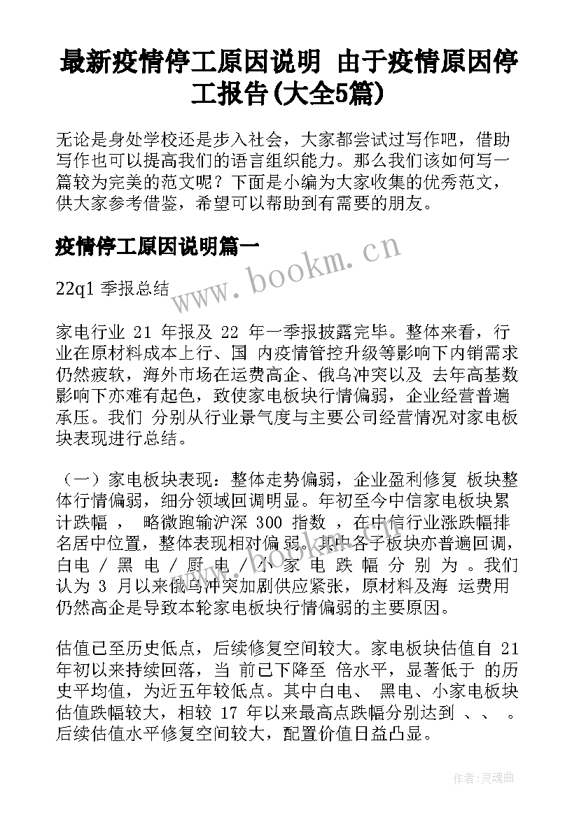 最新疫情停工原因说明 由于疫情原因停工报告(大全5篇)