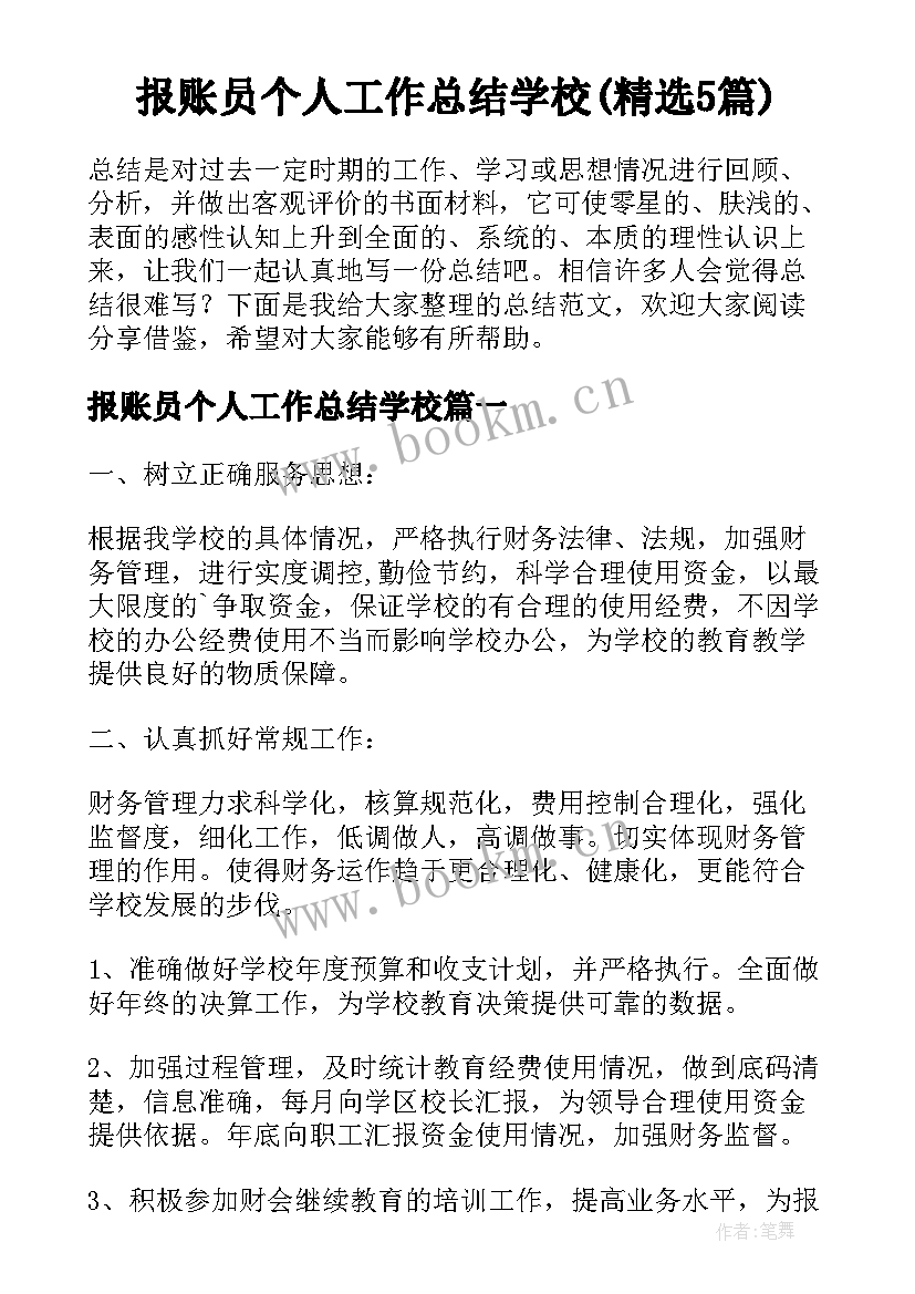 报账员个人工作总结学校(精选5篇)