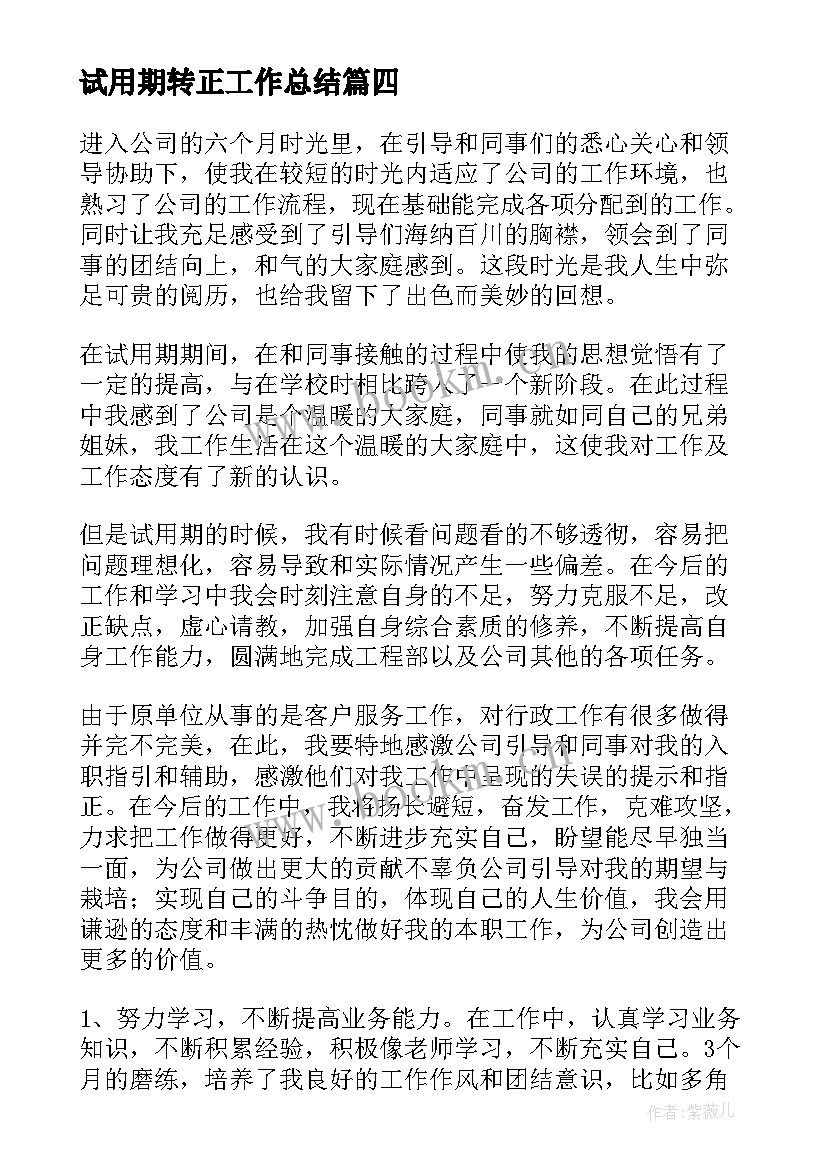 最新试用期转正工作总结(精选6篇)