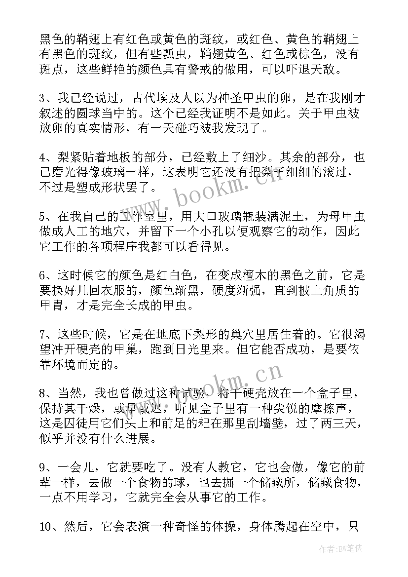 最新红日的读书笔记两百字(优秀6篇)