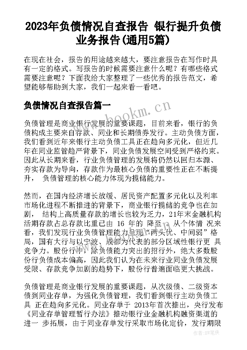 2023年负债情况自查报告 银行提升负债业务报告(通用5篇)