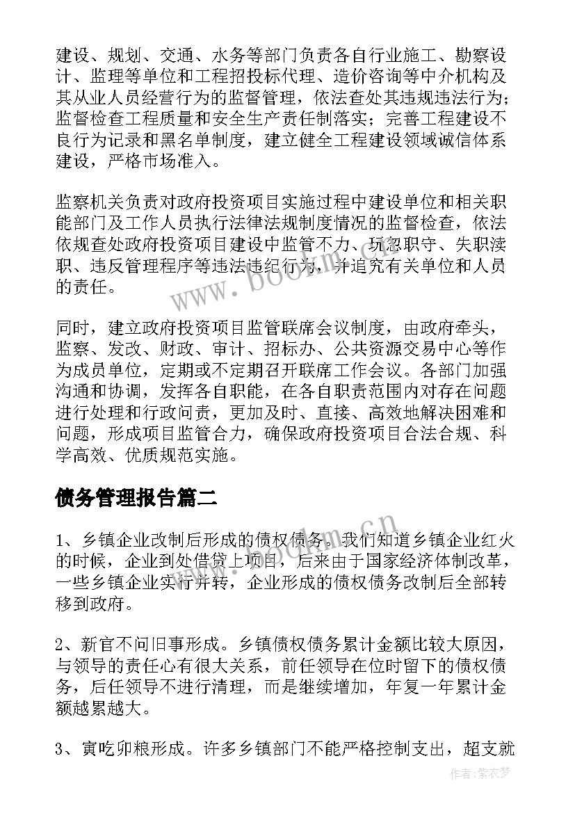 债务管理报告 政府债务调研报告(实用5篇)