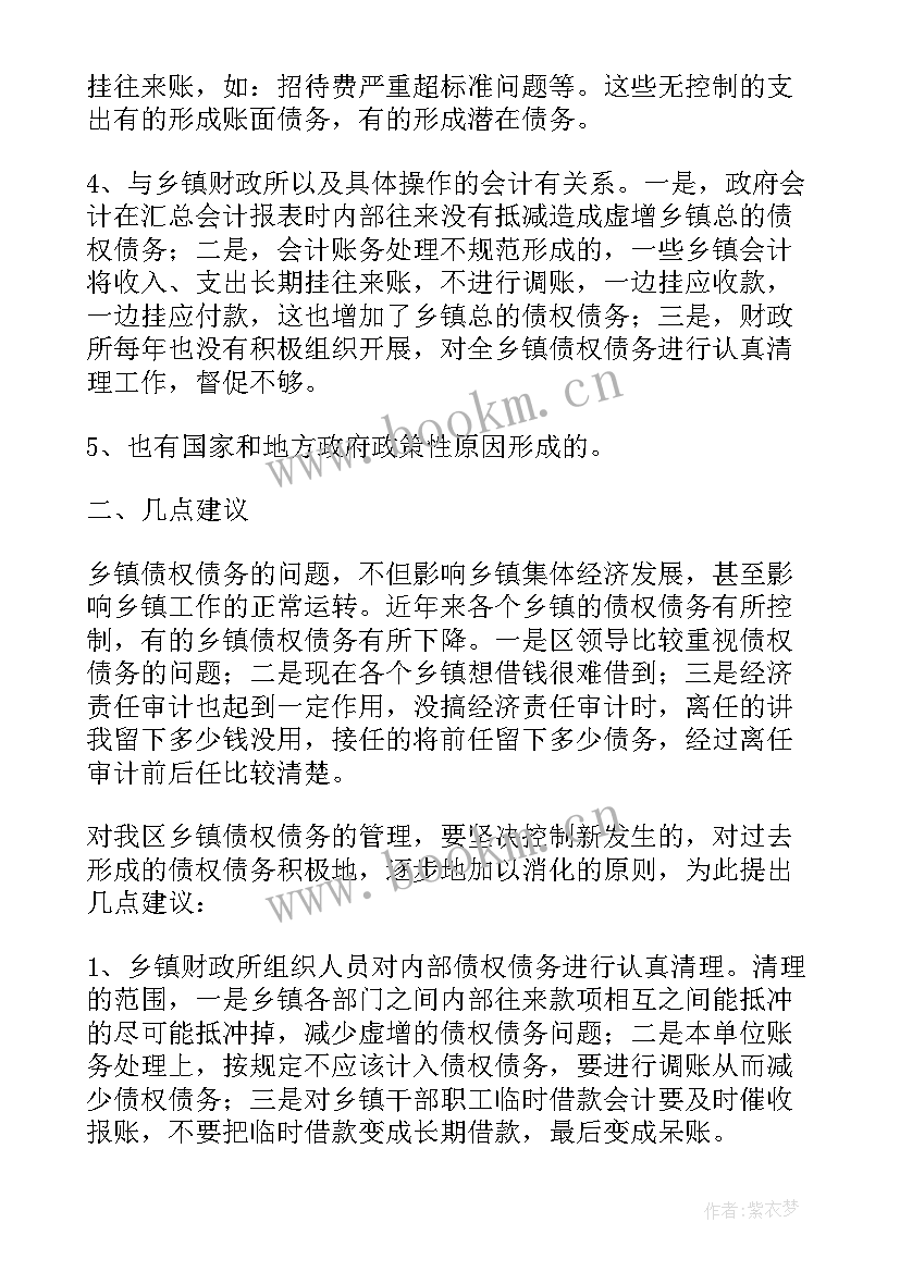 债务管理报告 政府债务调研报告(实用5篇)