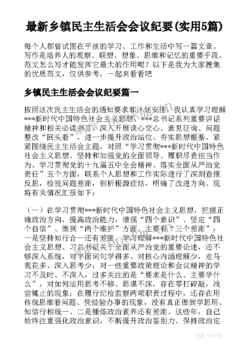 最新乡镇民主生活会会议纪要(实用5篇)