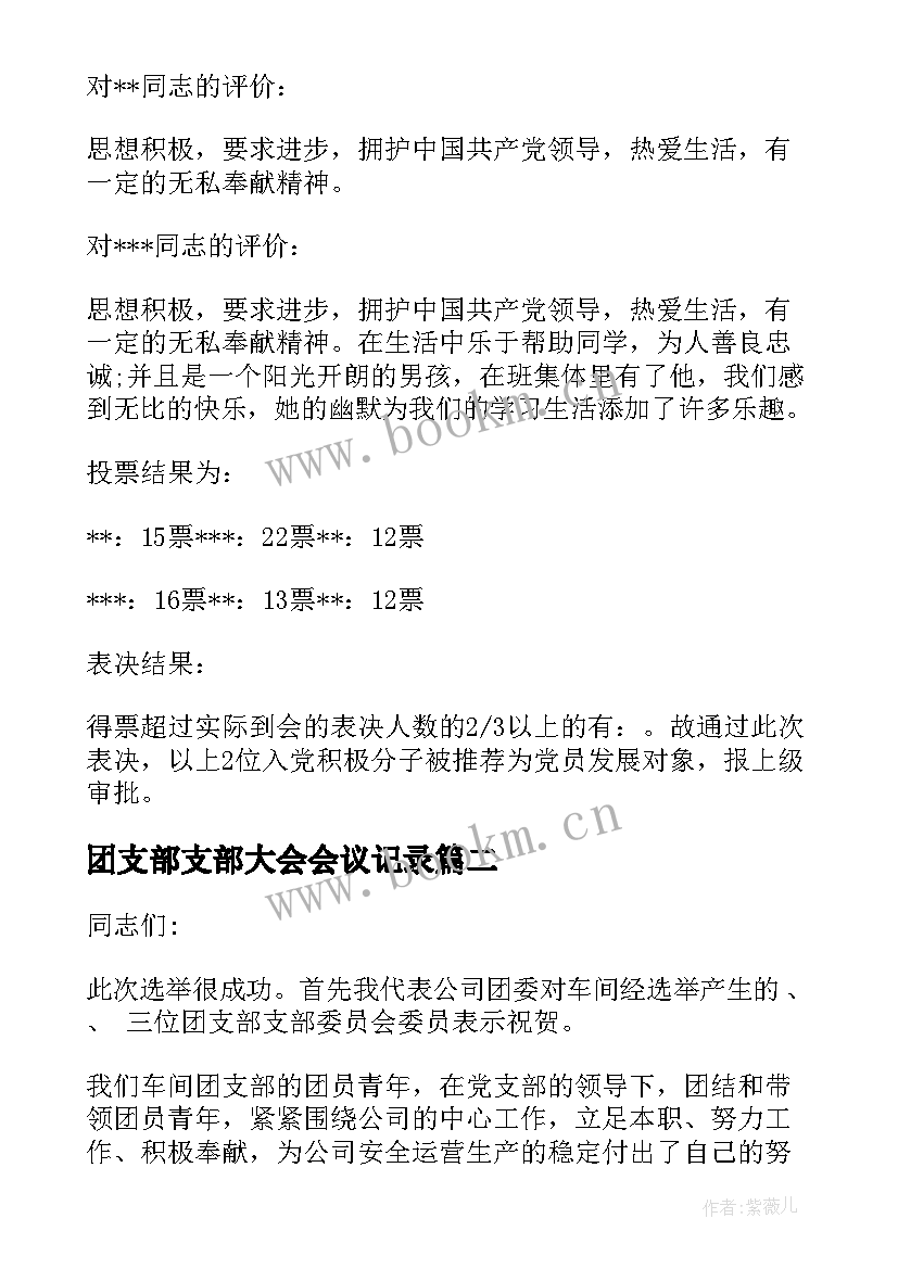 最新团支部支部大会会议记录 团支部大会会议记录(精选8篇)