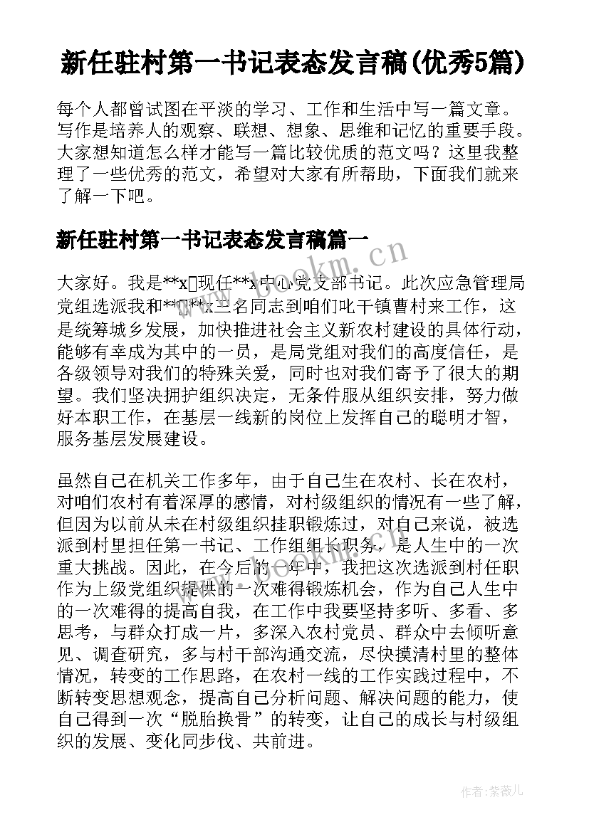 新任驻村第一书记表态发言稿(优秀5篇)